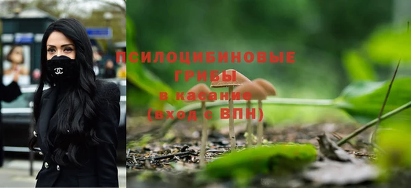 альфа пвп Дмитровск