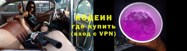спиды Дмитриев