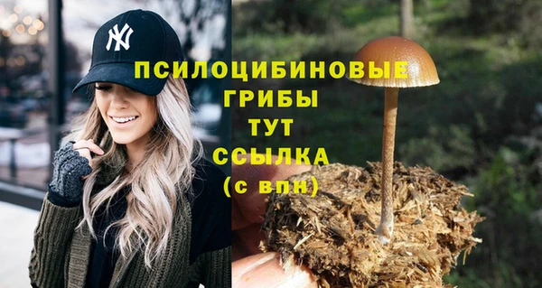 спиды Дмитриев