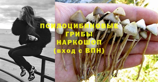 спиды Дмитриев