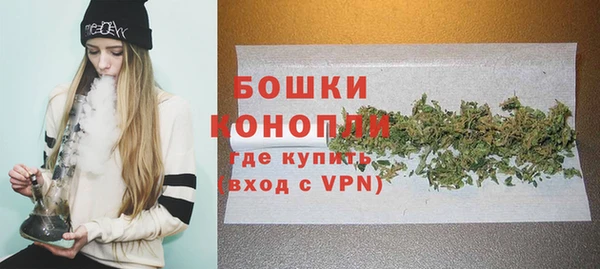 дживик Дмитров